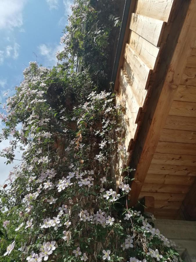 Appartement Seppi 인스브루크 외부 사진